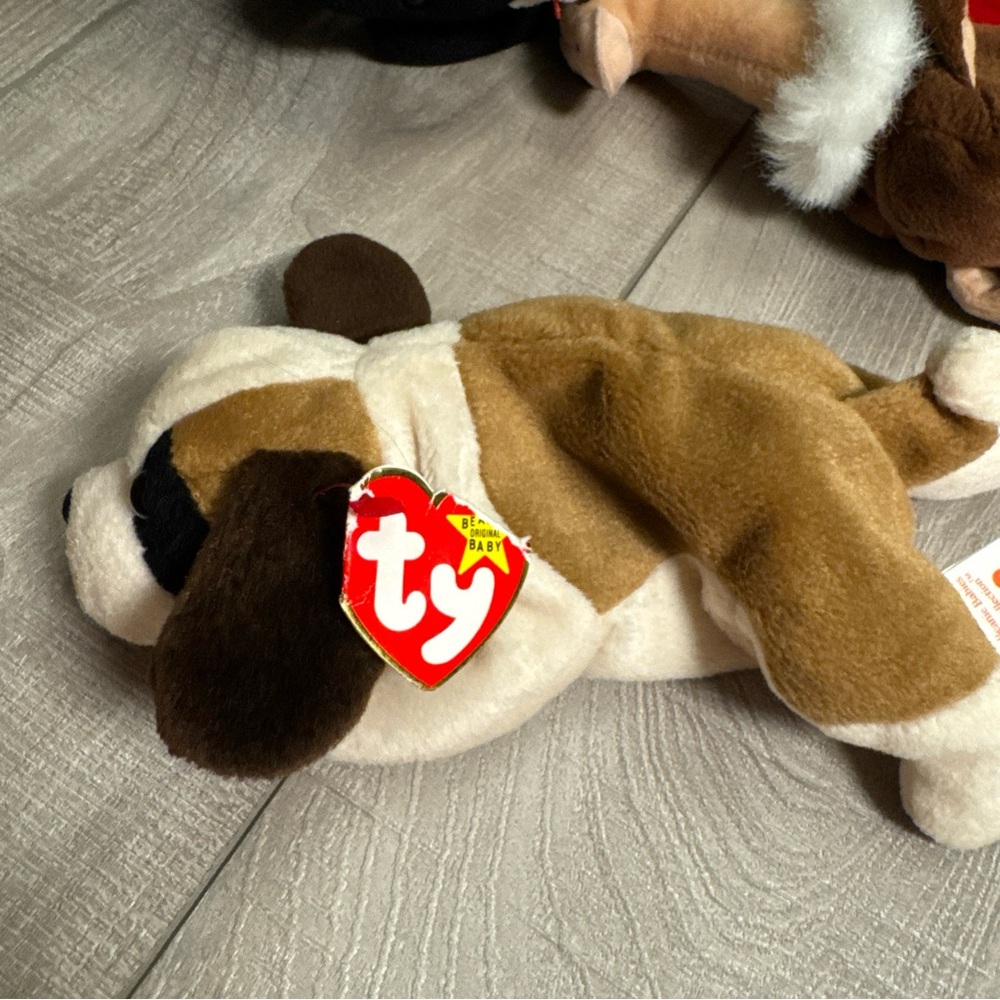 Ty Beanie Baby Lot 8 1990’s Jabber Stretch Whisper Bernie Goatee Canyon Mel Stin - Picture 10 of 16